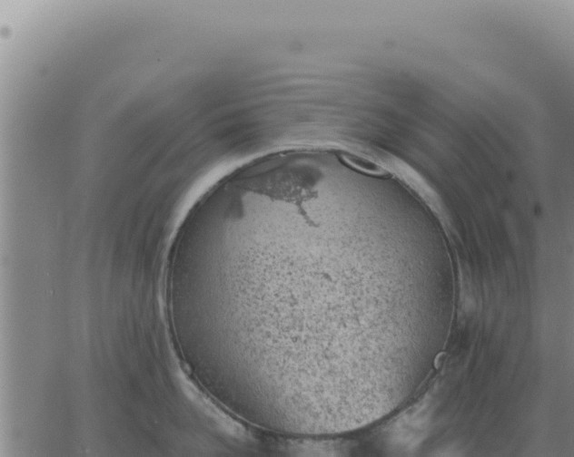 X0000063480958200601271651