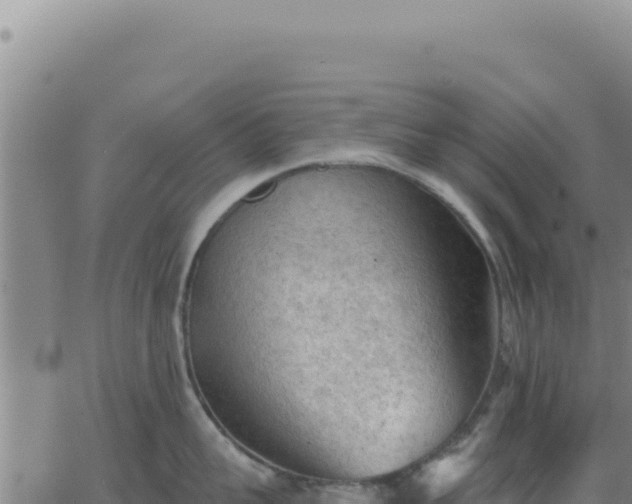 X0000063480959200601271651