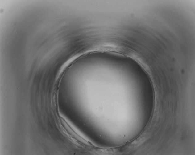 X0000063480960200601271651