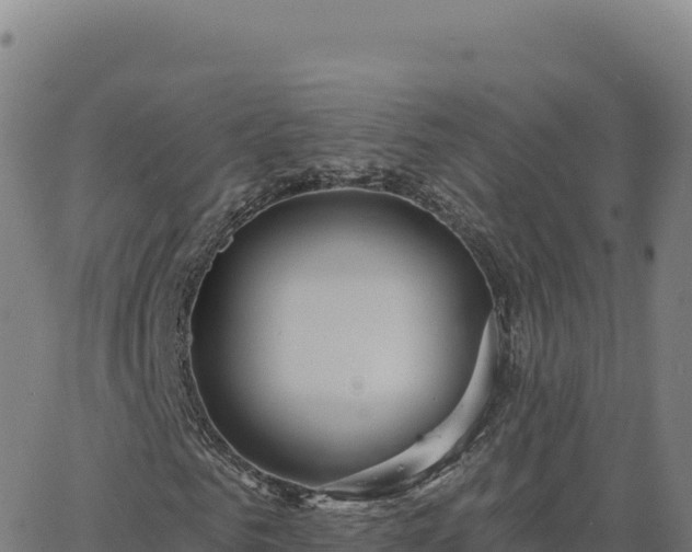 X0000063480961200601271651