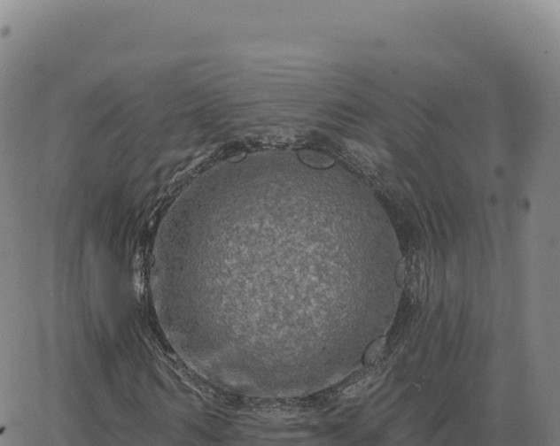 X0000063480962200601271651