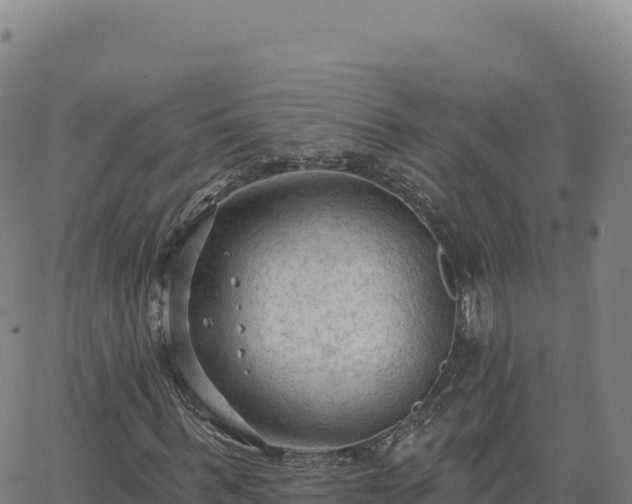 X0000063480963200601271651