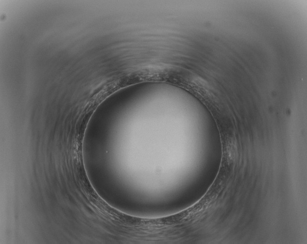 X0000063480964200601271650