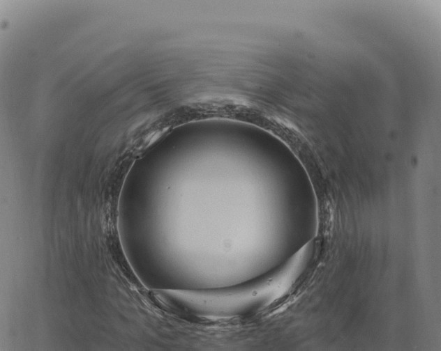 X0000063480965200601271650