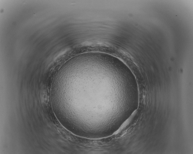 X0000063480966200601271650