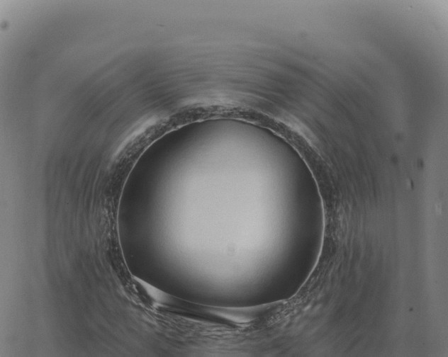 X0000063480967200601271650