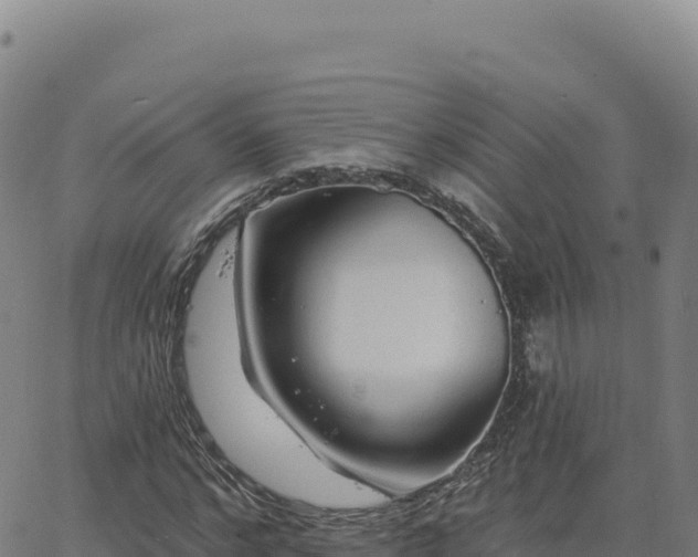 X0000063480968200601271650