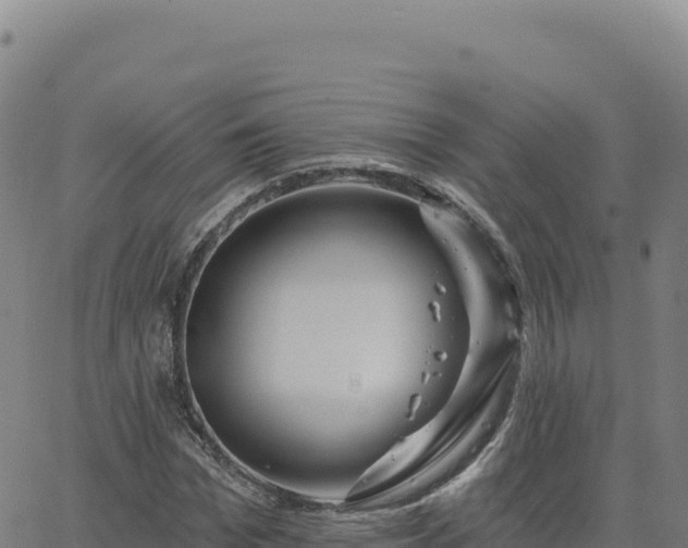 X0000063480969200601271650