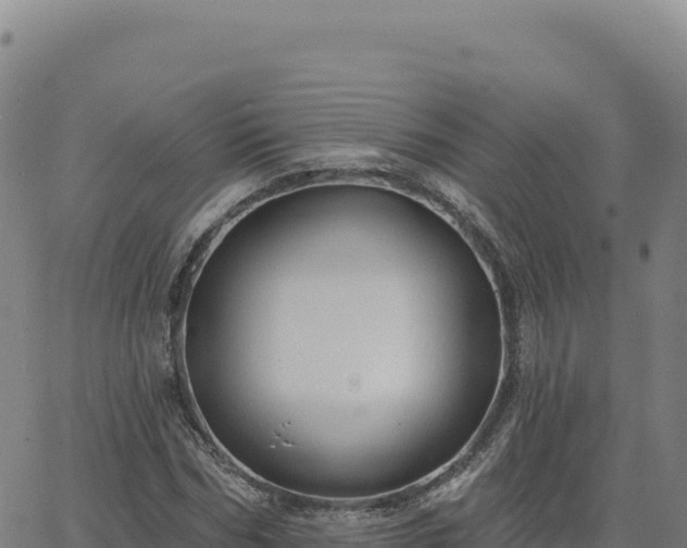 X0000063480970200601271650