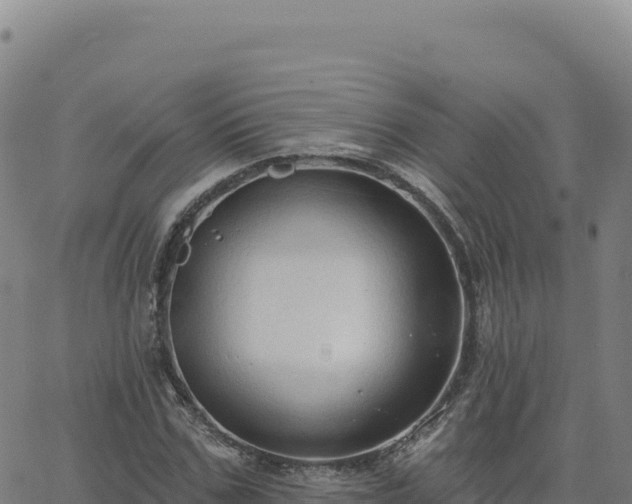 X0000063480971200601271650