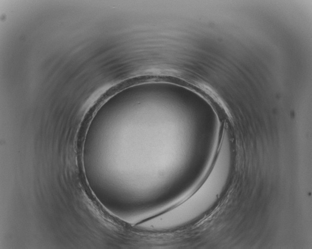 X0000063480972200601271650