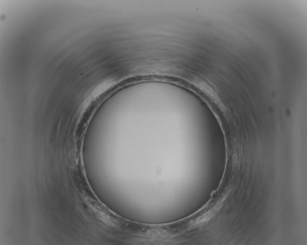 X0000063480974200601271650