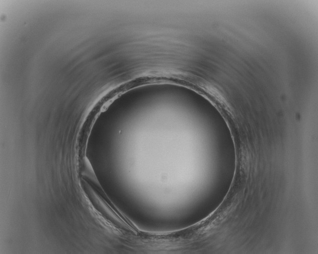 X0000063480976200601271650