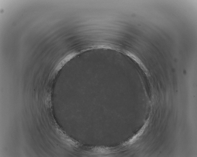 X0000063480977200601271650