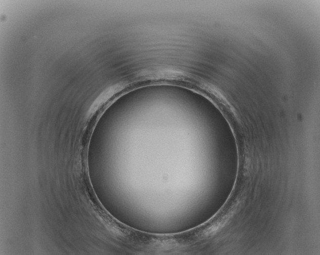 X0000063480978200601271650