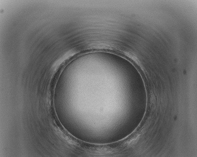 X0000063480979200601271650