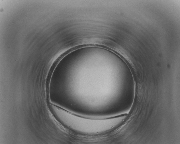 X0000063480980200601271650