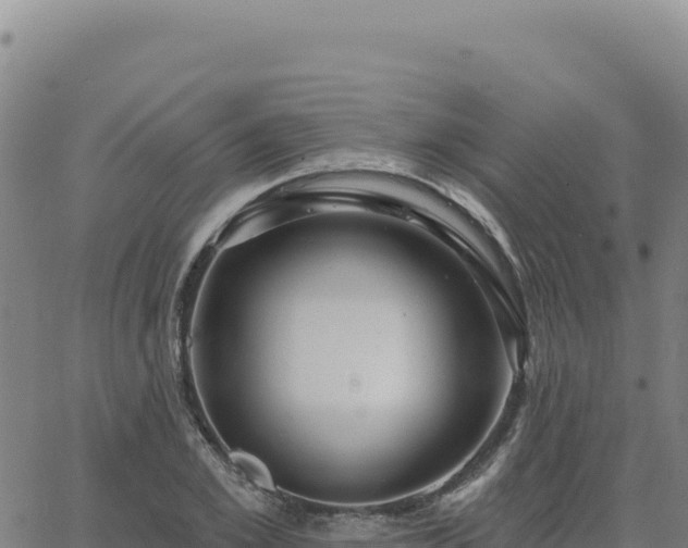 X0000063480981200601271650