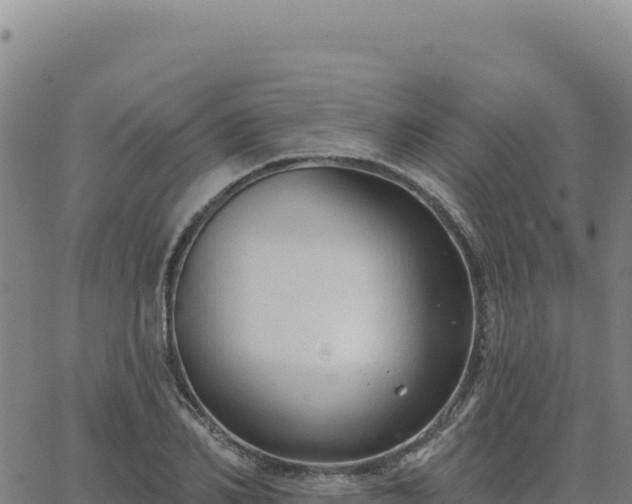 X0000063480982200601271650