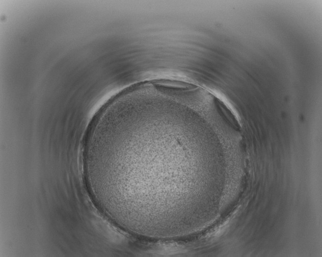 X0000063480983200601271650