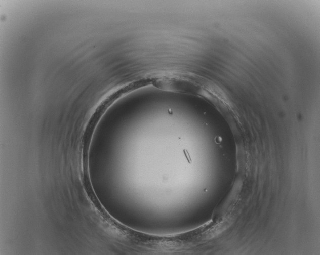 X0000063480984200601271650