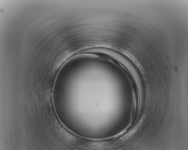 X0000063480985200601271650