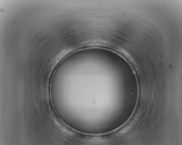 X0000063480986200601271650