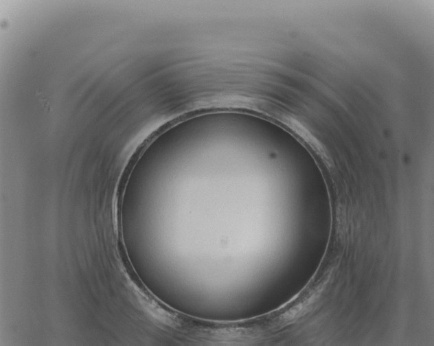 X0000063480988200601271650