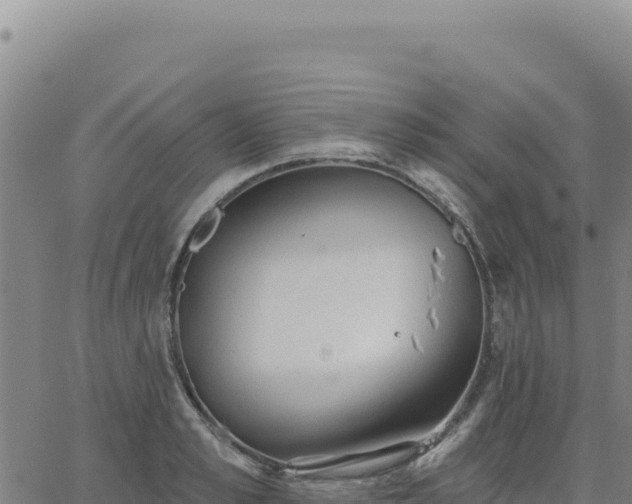 X0000063480989200601271650