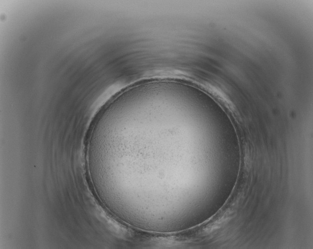 X0000063480990200601271650