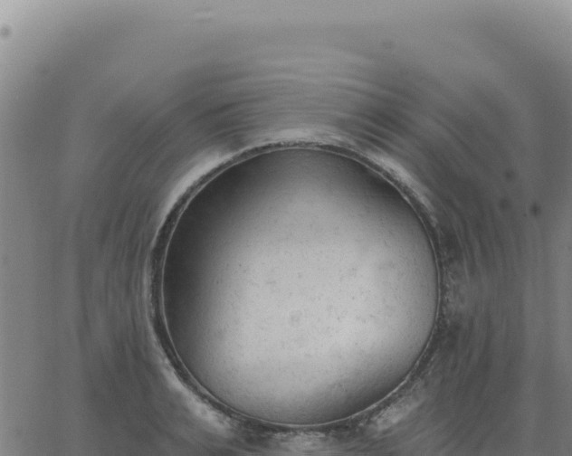 X0000063480991200601271650