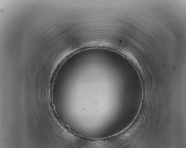 X0000063480992200601271650