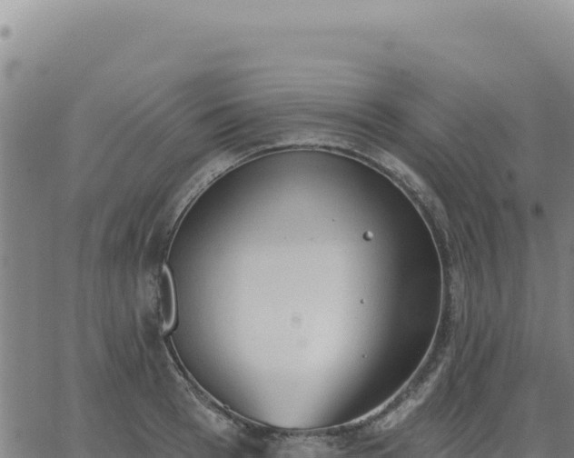 X0000063480993200601271650