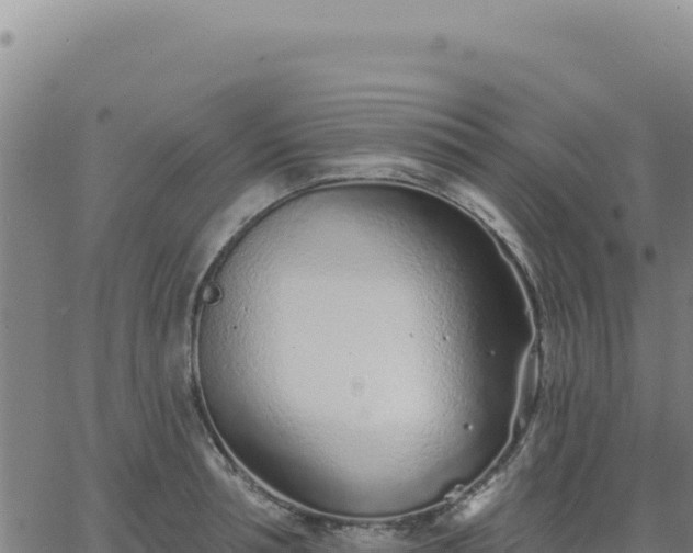 X0000063480994200601271650