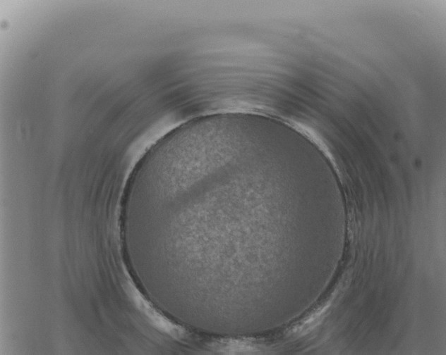 X0000063480995200601271650