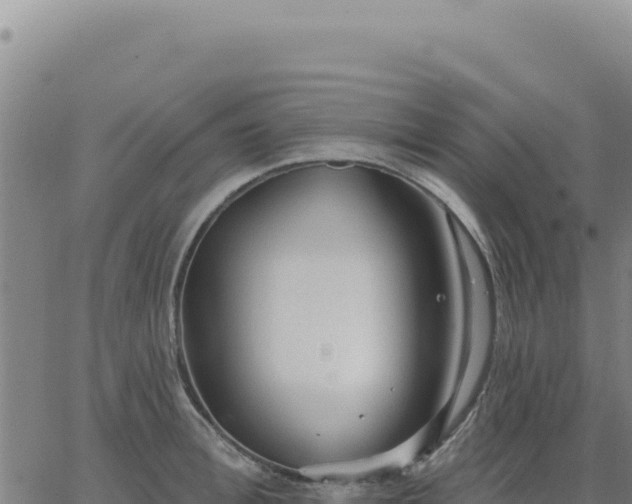 X0000063480996200601271650