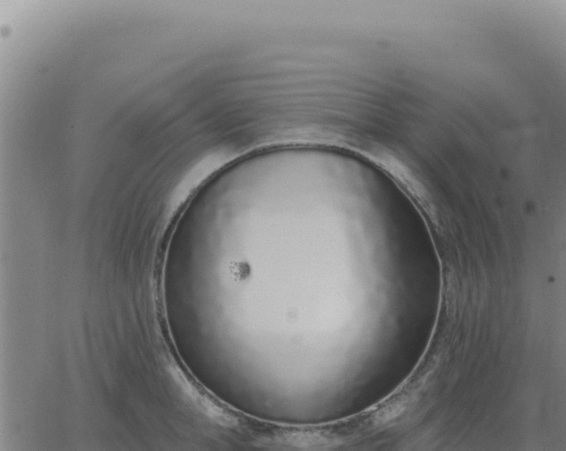 X0000063480998200601271650