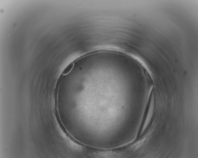 X0000063480999200601271650