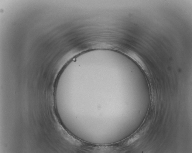 X0000063481000200601271650