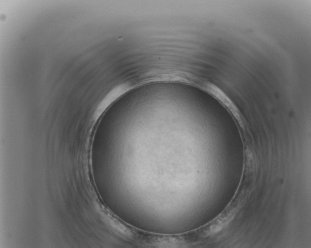 X0000063481002200601271650