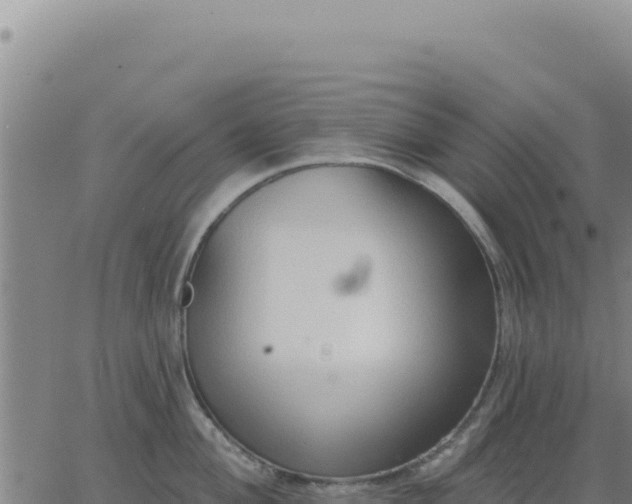 X0000063481004200601271650