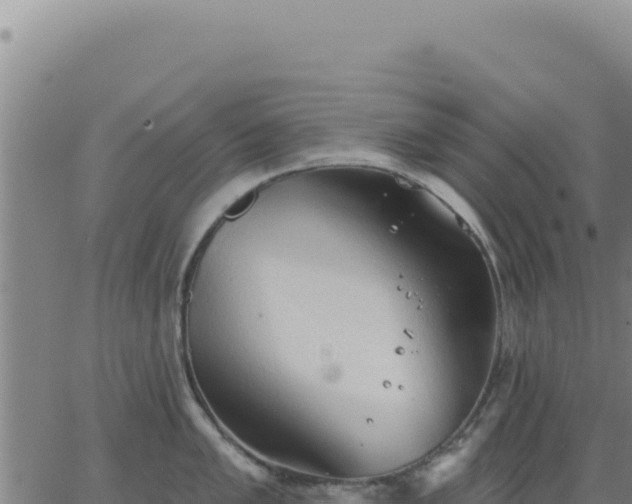 X0000063481005200601271650