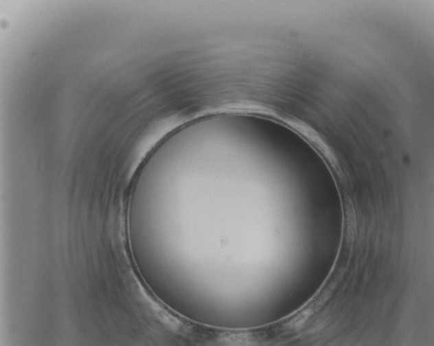 X0000063481006200601271650