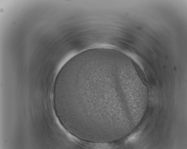 X0000063481007200601271650