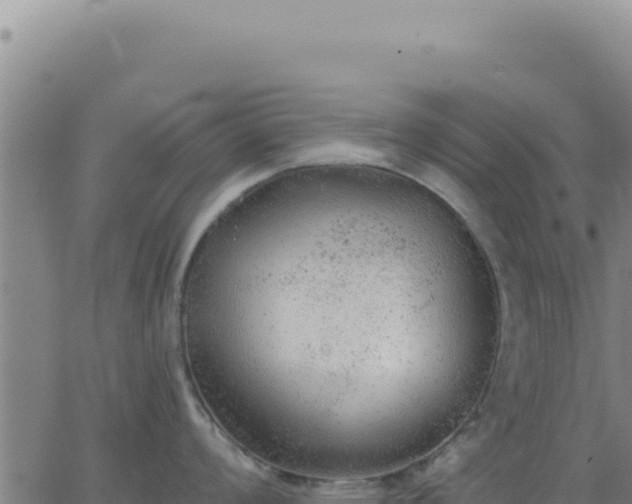 X0000063481008200601271650