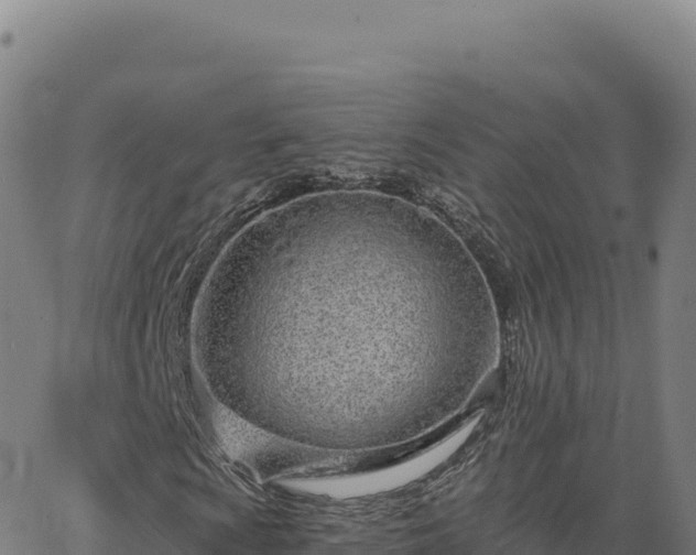 X0000063481009200601271649