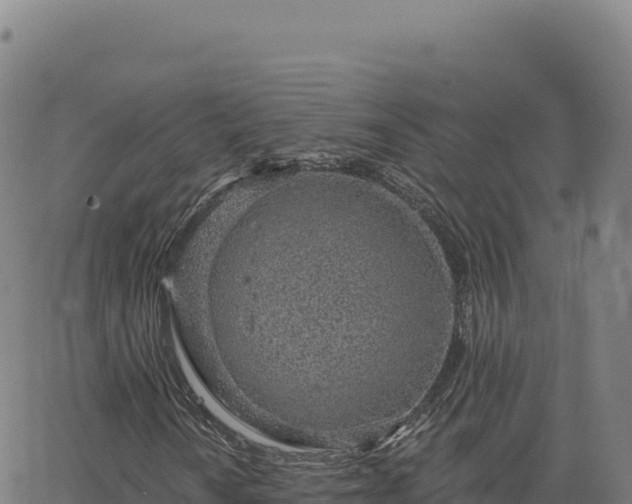 X0000063481010200601271649