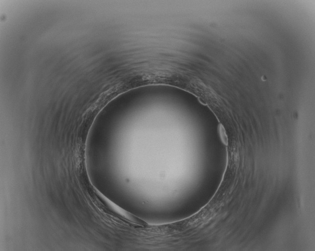 X0000063481012200601271649