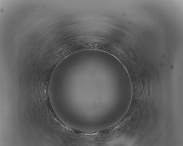 X0000063481013200601271649