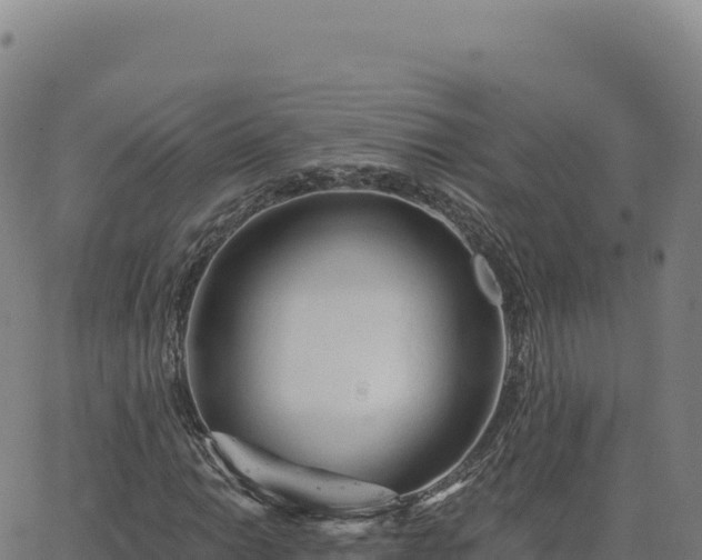 X0000063481014200601271649